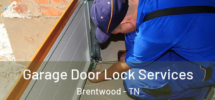 Garage Door Lock Services Brentwood - TN