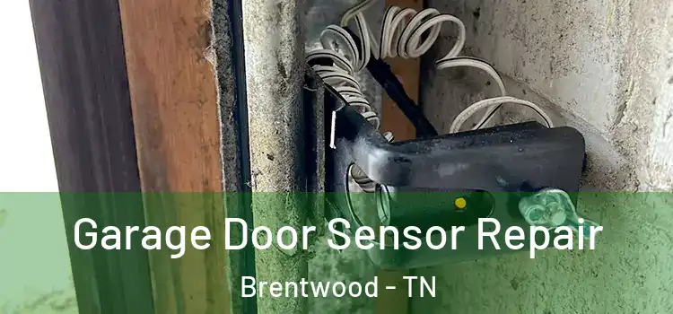 Garage Door Sensor Repair Brentwood - TN