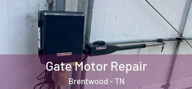 Gate Motor Repair Brentwood - TN