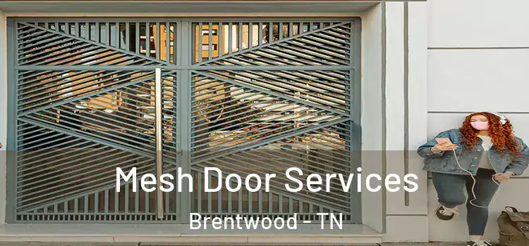  Mesh Door Services Brentwood - TN