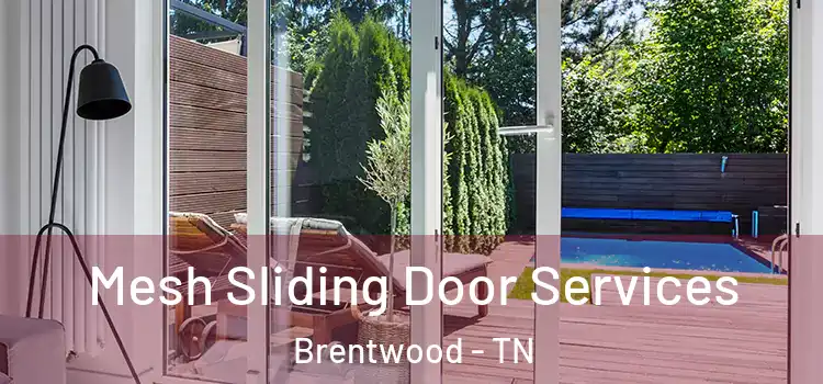 Mesh Sliding Door Services Brentwood - TN